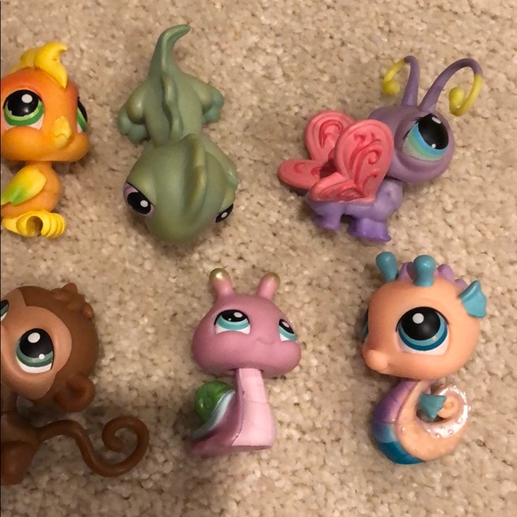 Littlest Pet Shop: RARE set - Picture 3 of 3